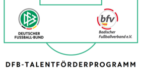 DFB-Talentförderprogramm. Grafik: DFB/bfv